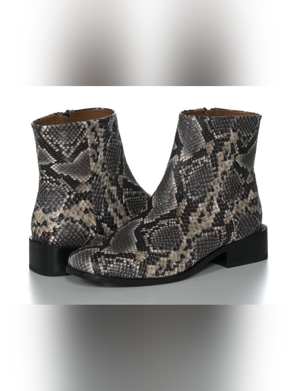 Frye River Inside Snake-Print Ankle Boots - Worn Once